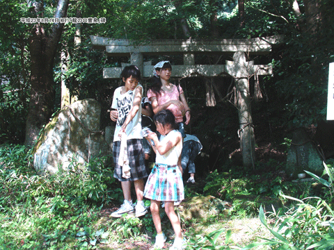 �u���̌����v��