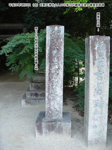 �����V�c����Ǒ��V�n