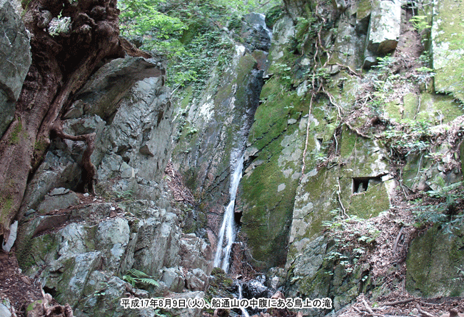 �D�ʎR�̒����ɂ��钹��̑�