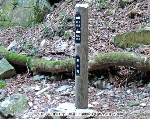 �D�ʎR�̒����ɂ��钹��̑�