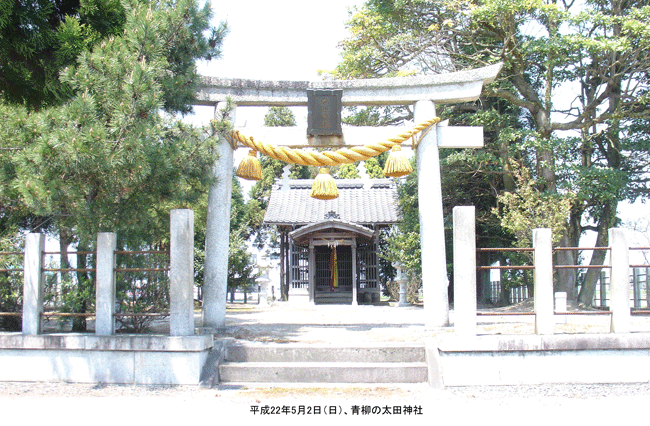 ���̑��c�_�� �i�������j