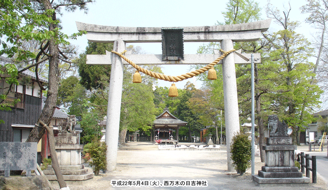 �����؂̓��g�_��