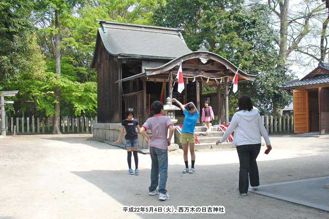 �����؂̓��g�_��