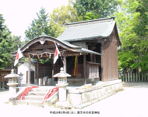 �����؂̓��g�_��