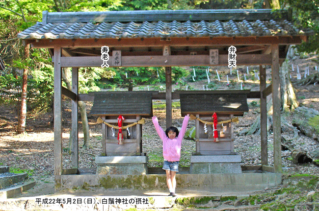 ���V�l�Ȃǂ̐ێЂ̑O��