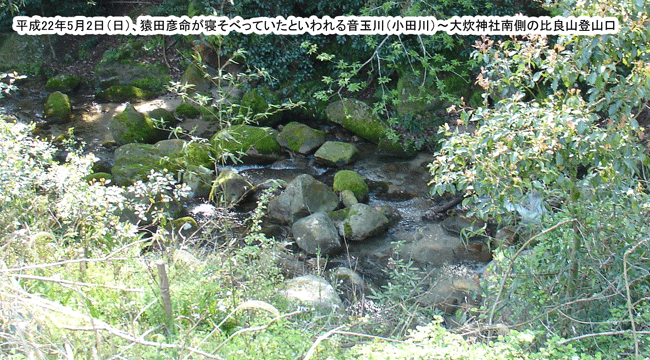 ���g����ǂ̓o�R���̉��ʐ�i���c��j