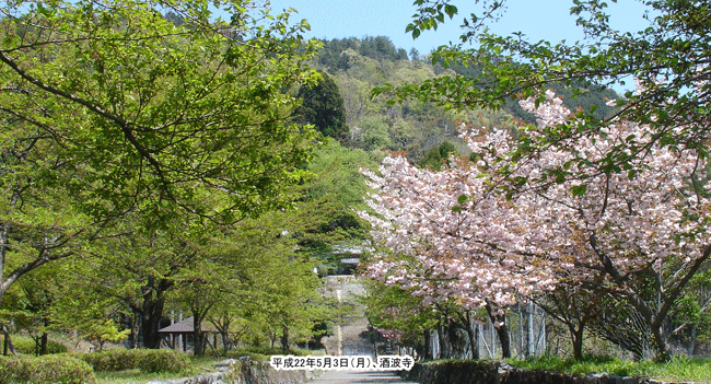 ��g���i���Ȃ݂ł�j�͐@�R�i������񂴂�j�̓�[�ɂ���