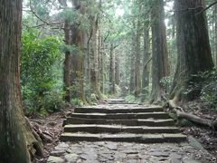 ���̃z�[���y�[�W���