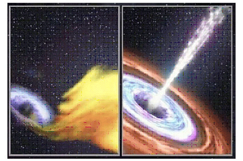 �u���b�N�z�[���ɍP�����z�����܂��u��