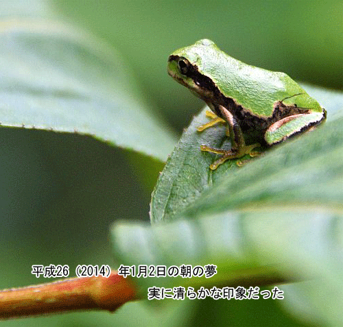 �A�}�K�G��