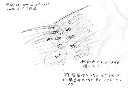 �ԍ\���̂ƃA��