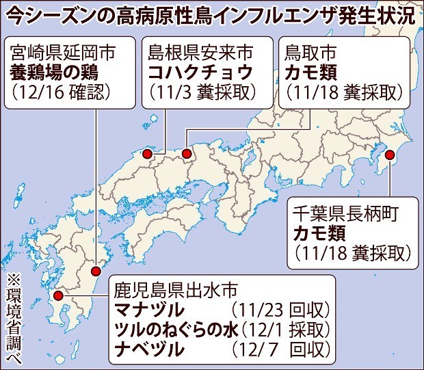 ���C���t���G���U�̔�����