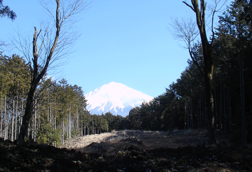 山宮（元宮）から見る富士山