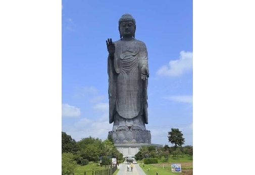 �i���v�j�啧