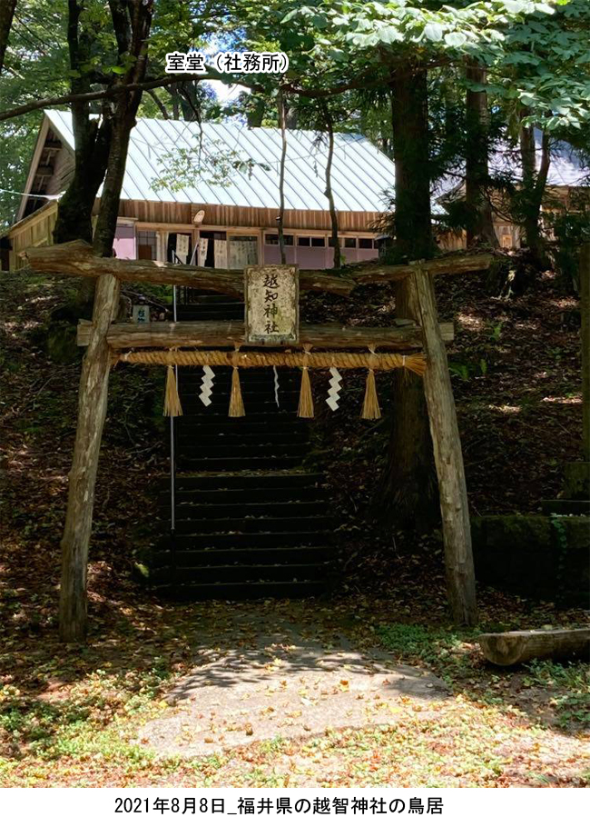 越知神社の鳥居