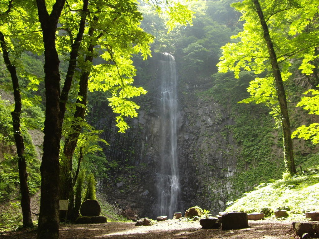 �ʗ��̑�i�R�`���������j