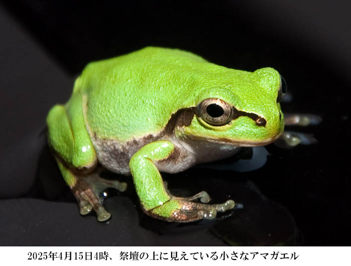 �A�}�K�G��