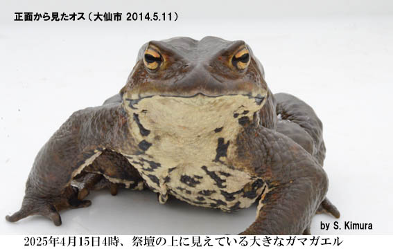 �K�}�J�G��