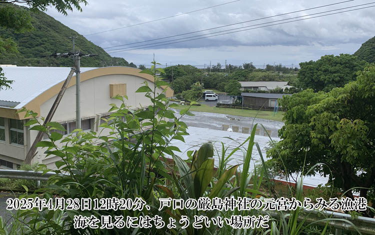 �ˌ��̌����_�Ђ̌��{