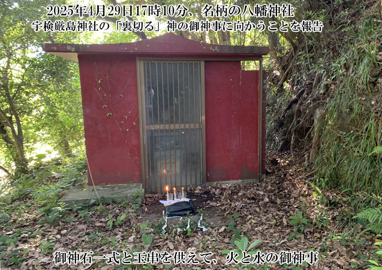 �����̔����_��