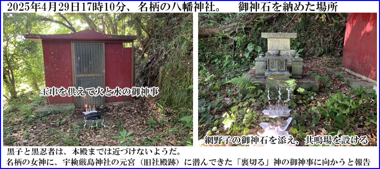 �����̔����_��