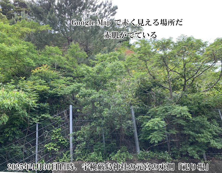 �O�[�O���}�b�v�ŐԂ�������ꏊ�`���{�̓������J���