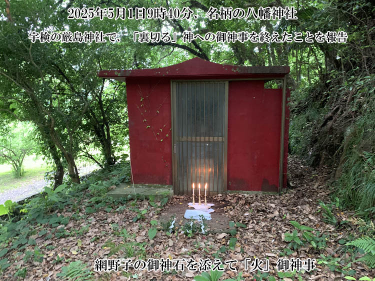 �����̔����_��