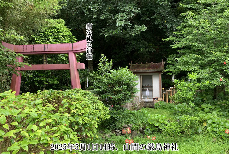 �Z�p���R�Ԃ̌����_��