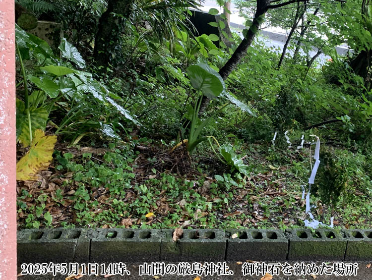 �Z�p���R�Ԃ̌����_��