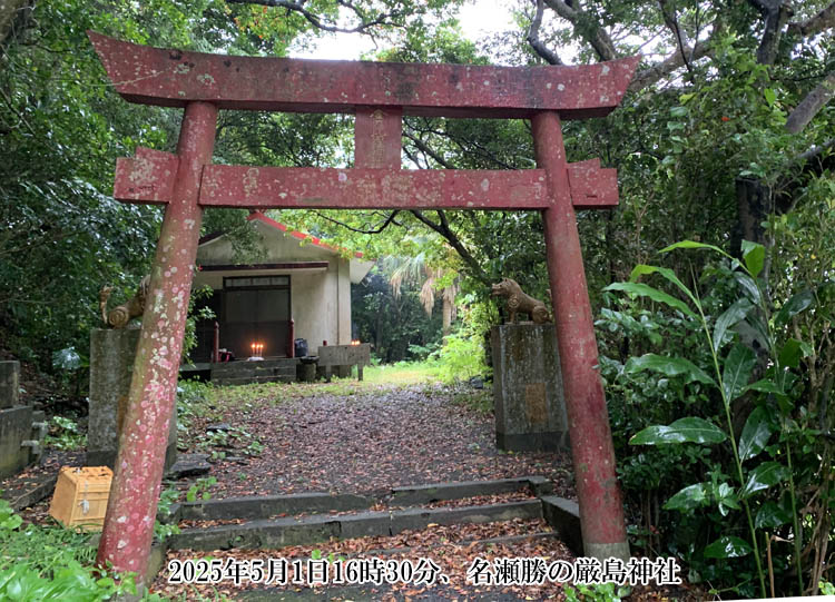 �������̋����䗅�_��