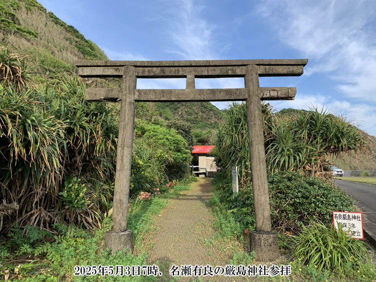 �����L�ǂ̌����_��