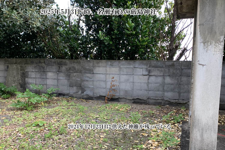 �����L�ǂ̌����_��