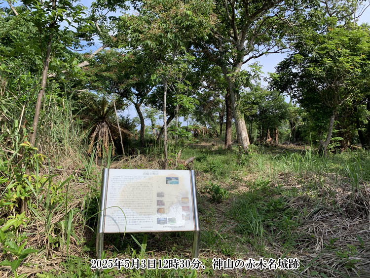 �Ԗؖ���Ք�O