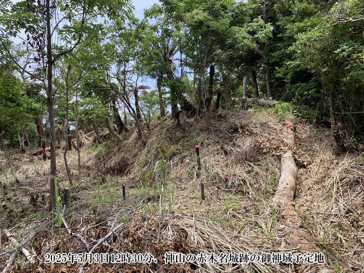 �Ԗؖ���Ք�O