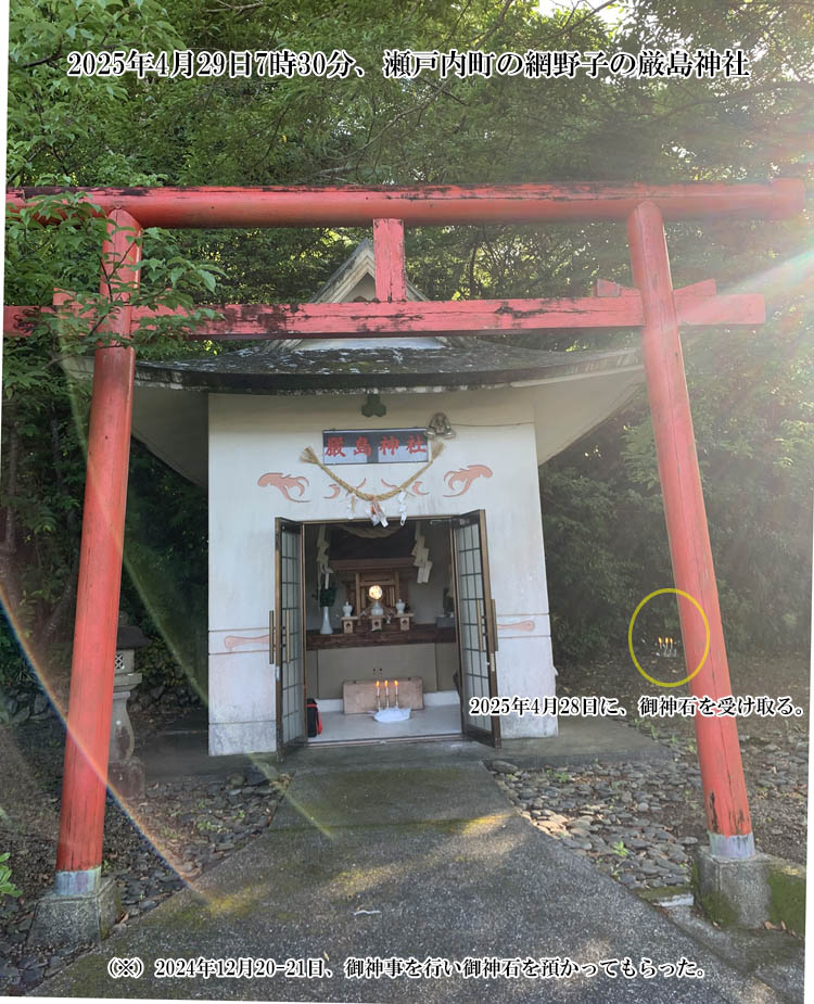 �Ԗ�q�̌����_��