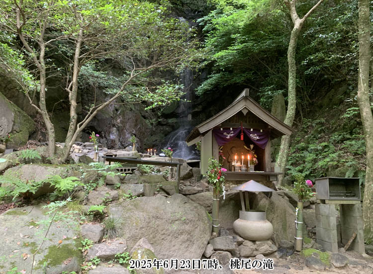 �����̑�