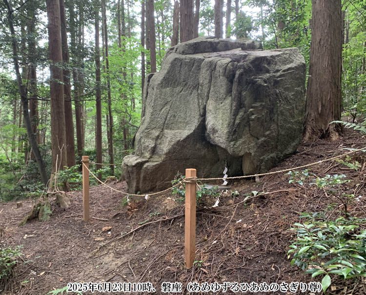 �u���߂䂸��Ђ��߂̂����葸�v�̔֍�