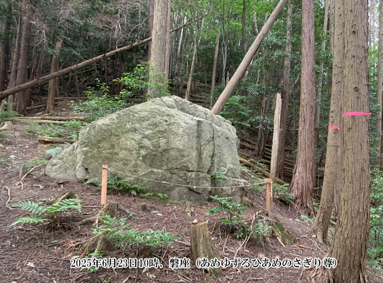 �u���߂䂸��Ђ��߂̂����葸�v�̔֍�