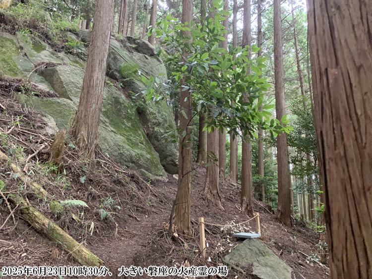 �_���m�_�C���֍�