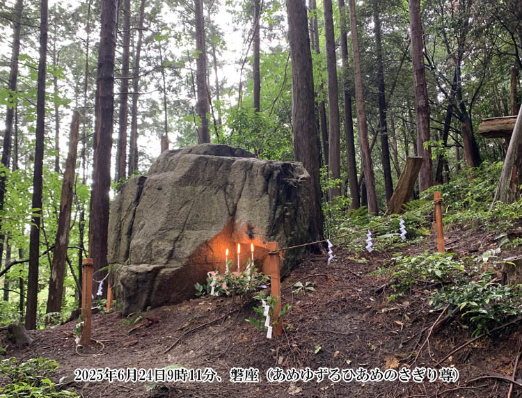 �u���߂䂸��Ђ��߂̂����葸�v�̔֍�