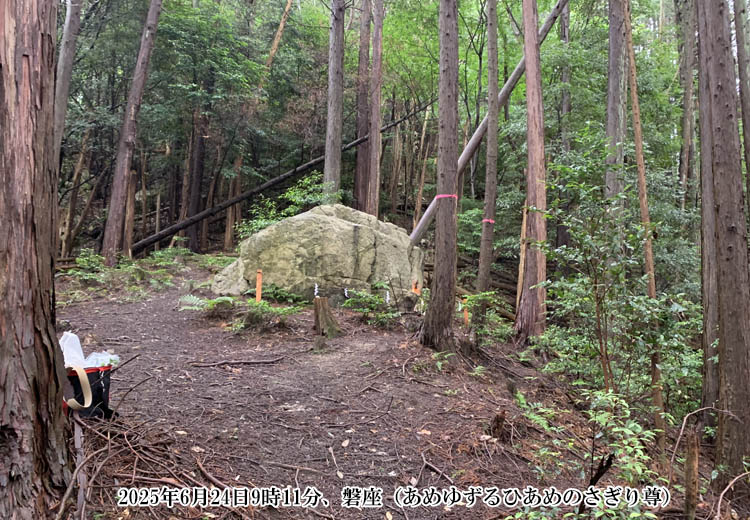 �u���߂䂸��Ђ��߂̂����葸�v�̔֍�