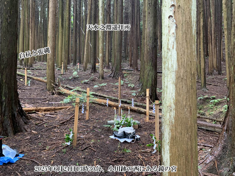 ����Ձi�_���m�_�C���j