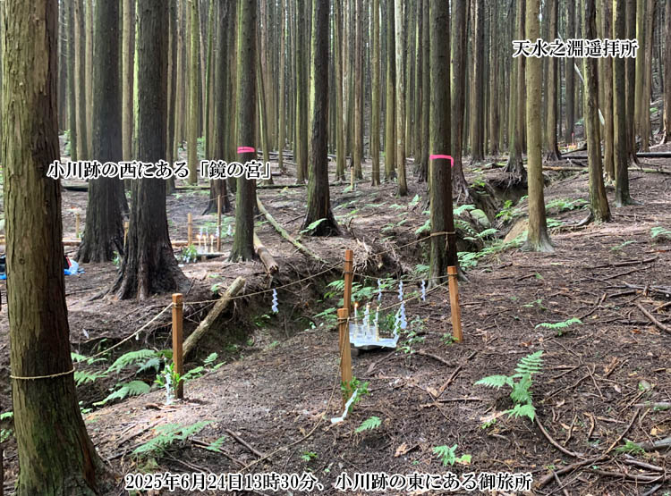 ����Ձi�_���m�_�C���j