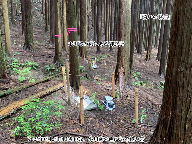 ����Ձi�_���m�_�C���j