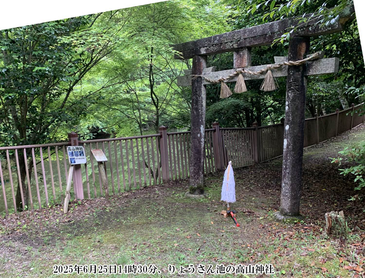 ��傤����r�̌��t�R�i�|���x�j