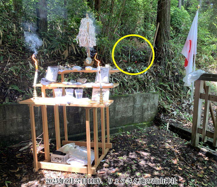 ��傤����r�̍��R�_��