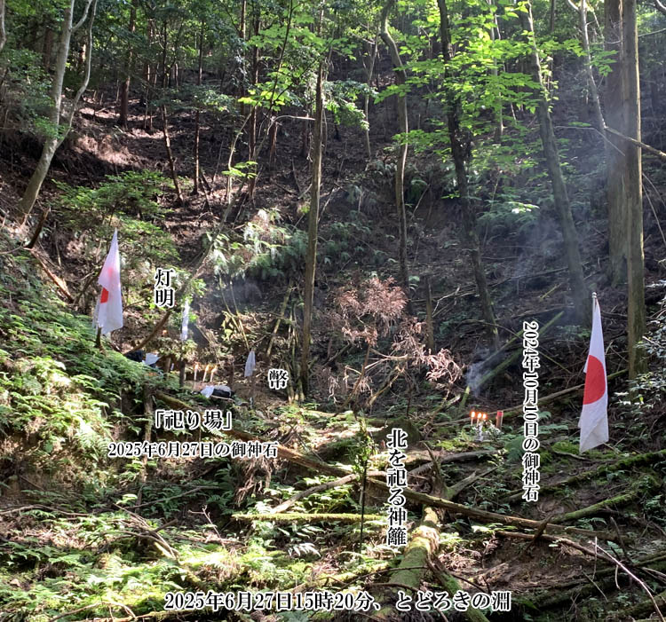 ��傤����r�́u�Ƃǂ낫�̕��v