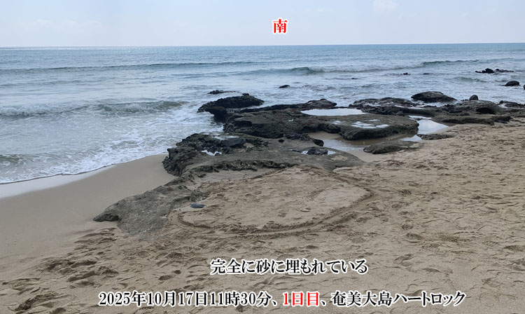 ���ɖ�����Ă���n�[�g���b�N