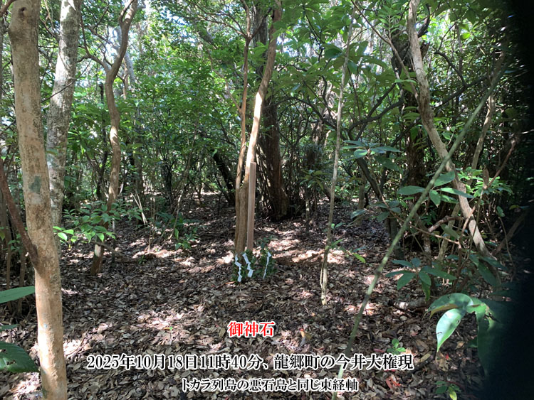 ���䌠���Ō�_�΂�[�߂��ꏊ