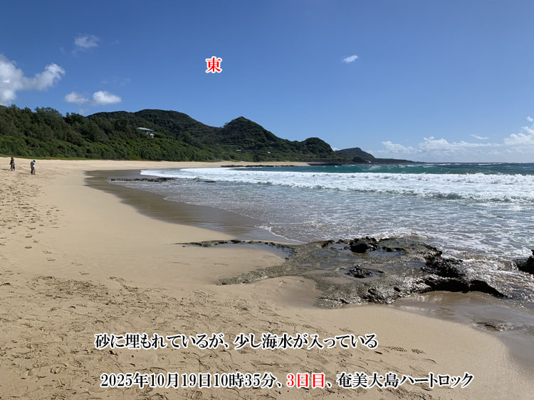 �����C���������Ă���